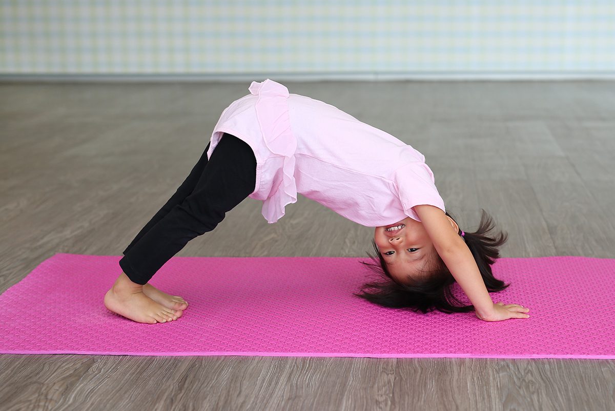 PHOTOS: 7 easiest yoga poses with names for beginners | Lifestyle Images -  News9live